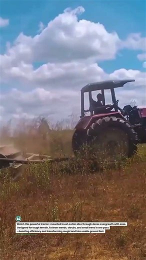 Heavy-Duty Tractor Brush Cutter Clearing Wild Fields Fast 🚜 #BrushCutter #LandClearing #TractorPower