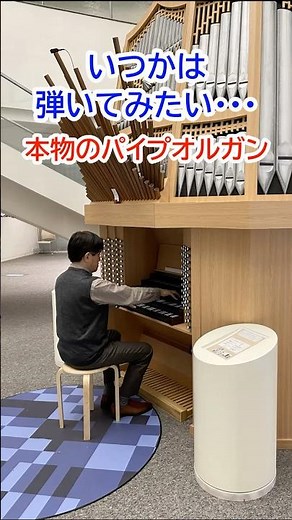 いつかは弾いてみたい！本物のパイプオルガン #shorts