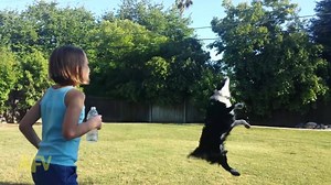 This trick is both amazing AND refreshing! | Waggle