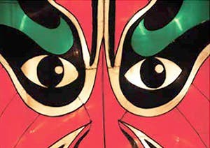 Go Fly a Kite @ the Stamford Museum and Nature Center