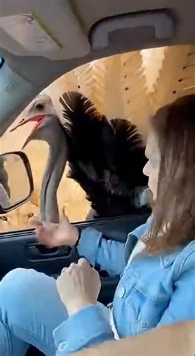 She Thought It Was Funny… Until It Happened 😳 #shortvideo #shortviral #shorts