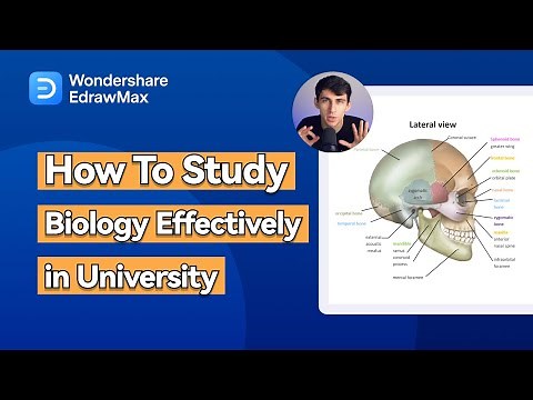 How To Study Biology Effectively in University
