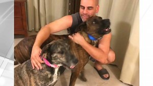 Arrest Made in 2018 Fatal Shooting of Miami-Dade Librarian