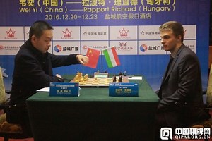 Stonewall Attack Chess Pdf Book