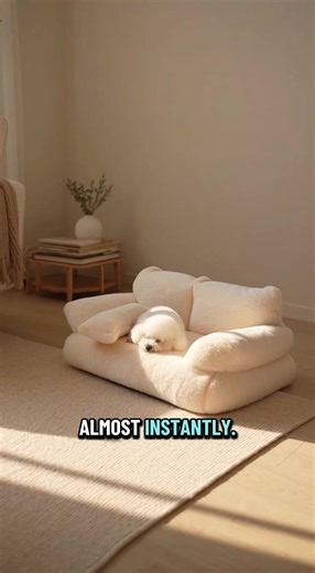 Cozy Pet Beds for Ultimate Comfort and Relaxation