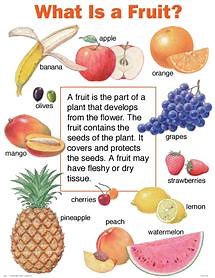 Fun Fruit Quiz – FREE Online Quizzes for Kids with Interactive Score Game -