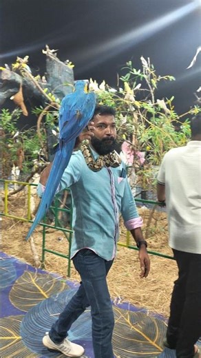 I Can’t Believe I Did This 😱 First Time Touching a Python 🐍