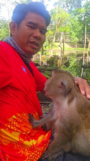 Monkey play with me #animals and pets