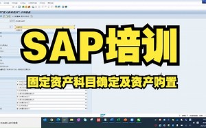零基础学习SAP系统 固定资产科目确定及资产购置4