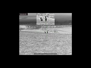 AGM Rattler TS35 384 Coyote Hunting Highlights Pt 1