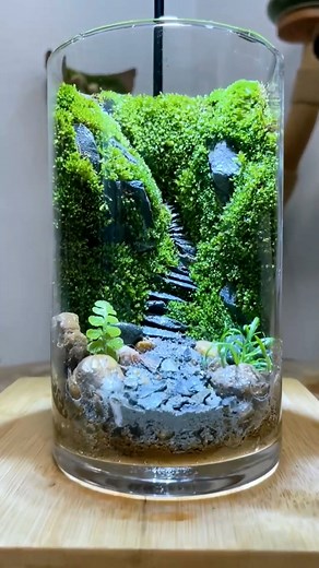 Creative Ideas Micro Moss Landscape #amazingvideo #Awesome #moss #nature #plants #green #naturephotography #aquascape #mossart #photography #trees #mossterrarium #indoorplants #art #tree #plant #mosswall #vivarium #homedecor #terrariums #macro #handmade #naturelovers #garden #lichen #plantedtank #interiordesign #microlandscape #landscape | Moss CraftIdeas