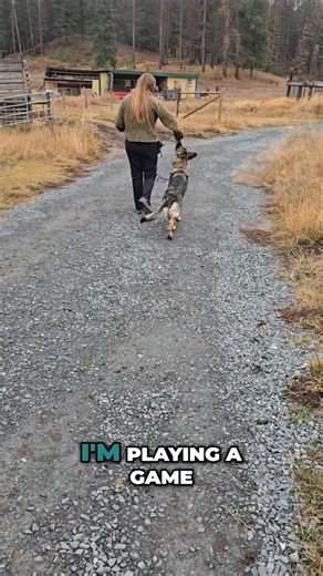 14 reactions | Learn proven dog training techniques using positive reinforcement. From handling pulling to transitioning from food treats to real-life rewards, unlock your dog's full potential. #DogTraining #PositiveReinforcement #DogBehavior #PuppyTraining #DogTips | Dog Zone Services | Facebook