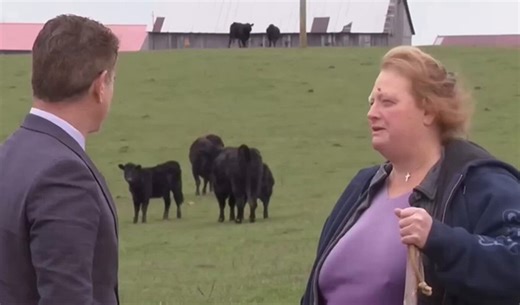 Kentucky family rejects $26 million offer to turn farm into a stupid data center