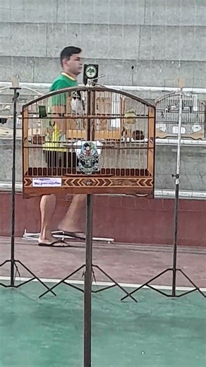 coleiro kakaroto torneio apern Rio Grande do norte 07 12 2025