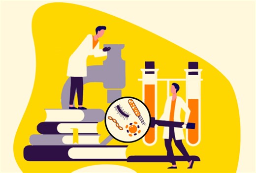 Fungi and the gut microbiome: when they matter and when they don’t | The Gut Health Doctor