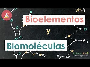 Bioelements and Biomolecules