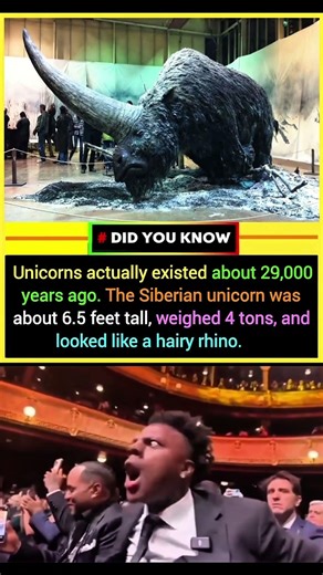 Siberian Unicorn | Real Unicorn That Lived 29,000 Years Ago 😱