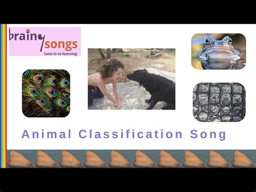 Animal Groups - Song For Kids