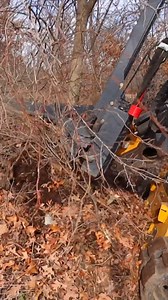 1.1M views · 8.2K reactions | Using a Tree Puller on a Skid Steer #TreePuller #SkidSteer #LandClearing | Rockhill Farm - Tractors, Firewood, and Excavating | Facebook