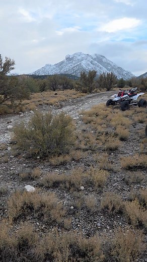 I found the Grinch house. | Kim LaFond Cook | Facebook