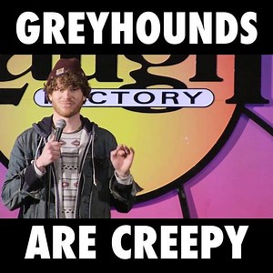 Chicago comic Matty Ryan love dogs, but is freaked out beyond reason at the sight of greyhounds. Maybe because they're not from this planet? See a LIVE SHOW at the Hollywood Laugh Factory! BUY TICKETS: https://goo.gl/WAFQKB | The Laugh Factory