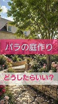 Solving FAQs for Rose Beginners! How Do I Start a Rose Garden? #Shorts #Roses #RoseGarden #RoseGa...
