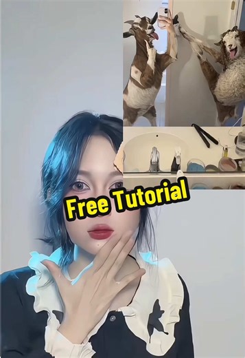 #capcut #capcutpioneer How to use AI to turn yourself into a goat with filters AI filter to make yourself look like a goat Wait I'm Goated wait i'm goated tee shirt wait i'm goated shirt wait i'm goated meme waitgoated67 wait i'm goated meaning wait i'm goated song wait i'm goated original wait i'm goated hoodie waitimgoated365 wait i'm goated outfit How to make a goat image How to generate a goat image How to create a goat picture How to use AI to make a goat image AI tutorial: How to create a 