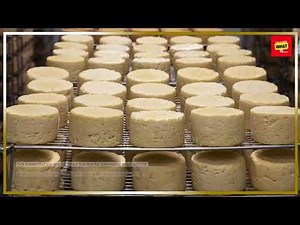 What Is the Science Behind the Perfect Pizza Crust