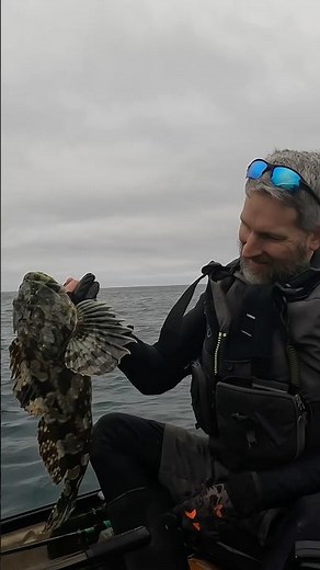 Ocean Kayak Fishing Cabezon OREGON COAST #yakventures #kayakfishing