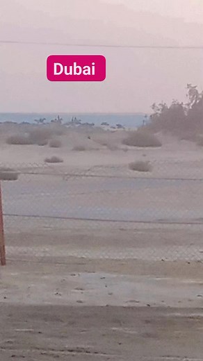 #utubevideo 🙏🙏🙏🙏🙏🙏🙏🇳🇵 | Jettli Tmg