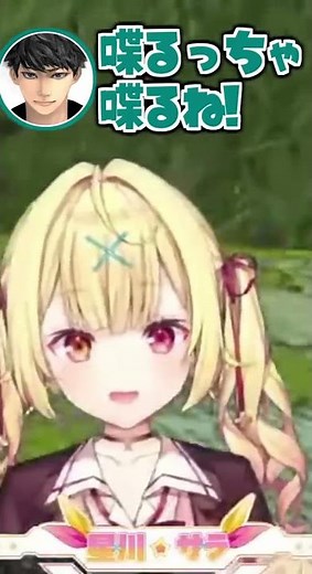 "No 'ta' sounds!" Hoshikawa is amused by Haseshin's enthusiasm for the 'ta' sound [Clip/Nijisanji...