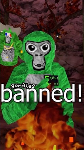 Things New Gorilla tag Player Needs To Know Or They'll Get BANNED!