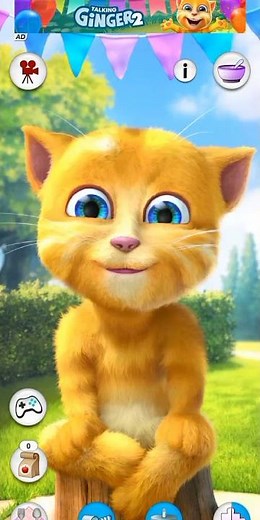My Talking Ginger 2 Funny cat