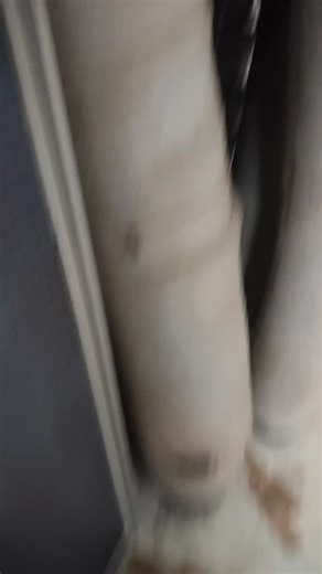 Tara Powertech Engineering and services on Instagram: "#reelsvideo #viralsongs👌😍♥️♥️❣️❣️💗💗❤️❤️💓🎵🎵💓instagram #ladysuperstar #solarpassion #sustainability #Ptachidewale#"