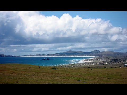 Chatham Island, New Zealand - it's different