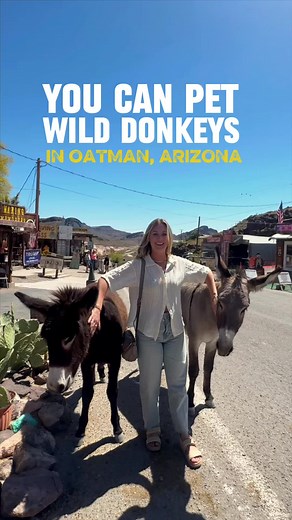 Exploring Oatman: A Day Trip to Feed Wild Donkeys
