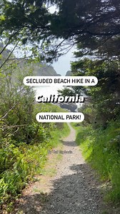 Explore California on Instagram: "This is a great hike to do in Redwood National and State Parks! While most hikes in this area feature groves of the world’s tallest and oldest trees, this trail leads to a secluded beach! It’s a fun and quick stroll down a 0.7 mile trail down a coastal cliff. Tree tunnels provide shade for a good portion of the trail. Eventually you get a beautiful beach cove with small rocky arch, a little creek, and driftwood! At low tide you can even see some cool tide pools.