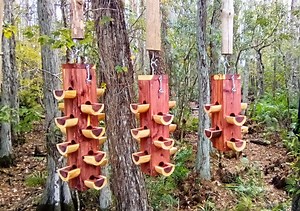 Bird Seed Feeders - Outdoor Bird Feeders - Cedar Bird Feeder Hanging - Gifts for Birdwatchers - Useful for Bird Feeding - Etsy
