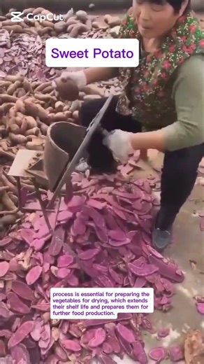 ​The Step-by-Step Guide to Rapid Sweet Potato Slicing