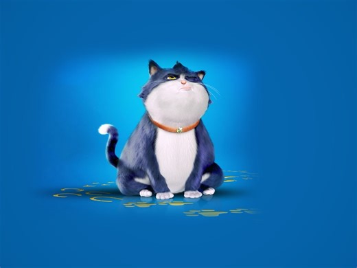 Um Gato de Sorte - Apple TV