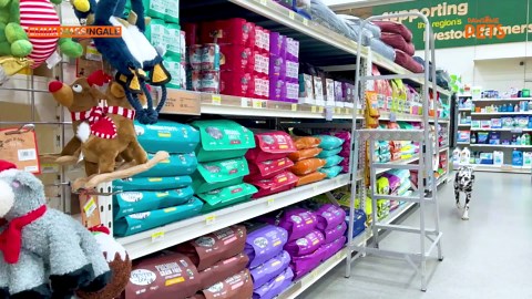 Pets take themselves to the store