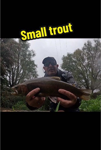 A video of me catching the smallest trout in the pod #trout #fish #fishing #troutfishing