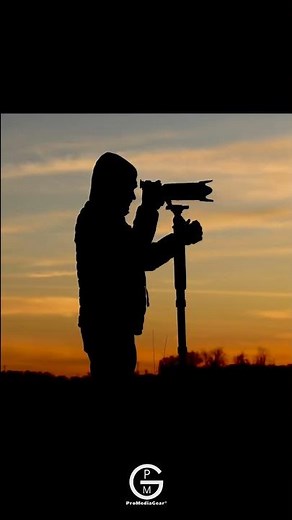 Unforgettable Bird Photography: ProMediaGear's HM1 Tilt Head and TR42MXL Monopod Duo