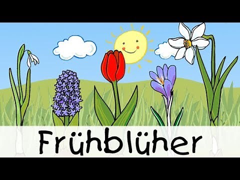 💡 Frühblüher || Kinderlieder zum Lernen