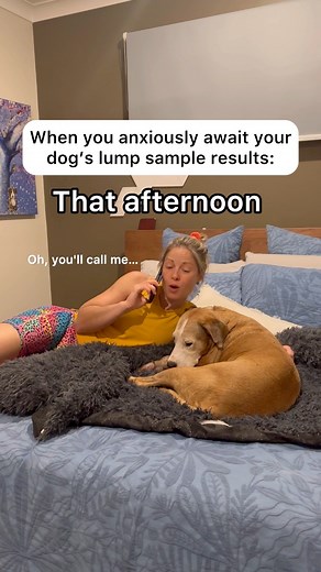 15K views · 274 reactions | Dog Owner's Anxious Wait For Lump Test Results #relatable #dogowners #doglover #veterinarymedicine | Amos Pearce | Facebook