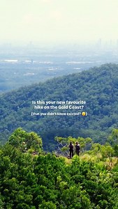 If you’re chasing a hike with serious payoff - this is the one👟🌿 The Bally Mountain Summit Trail is a rugged walk with sweeping valley views, wild bushland and a real sense of escape. It begins with a creek crossing, followed by a steep, loose and uneven incline that gets your heart pumping. Towards the top, there are exposed and very steep rocky sections that require a bit of scrambling. It’s all worth it once you reach the summit and take in panoramic views to the ocean, Springbrook and Moun