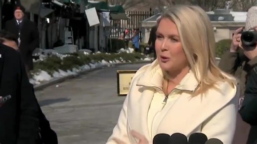 US press secretary claims Trump has secured 'great trade deal' with India