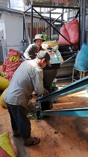 17 reactions · 6 comments | Here’s a glimpse of our coffee processing...