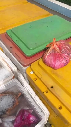 Seafood Shop Diet Menu for Healthy Weight Loss