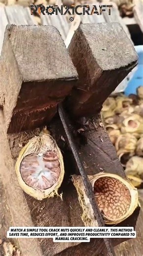 Smart Nut Cracking Tool in Action | Fast & Efficient Shell Removal